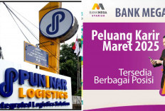 Lowongan Kerja Fresh Graduate di Puninar Logistics, Bank Mega, dan Kemenkes, Info Selengkapnya Disini