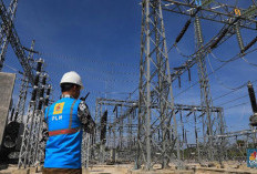 Palembang Gelap Gulita, PLN  Baru Umumkan Penyebab Gangguan