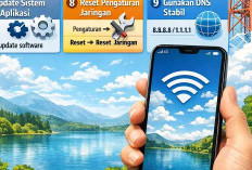 Handphone Mahal Pasti Kuat Sinyalnya, Ternyata Fakta, Berikut Penjelasannya?