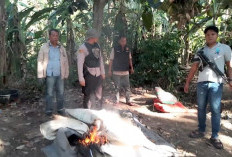 Polisi Bubarkan Arena Judi Sabung Ayam di Desa Kota Bumi OKI Dibubarkan, Fasilitas Langsung Dimusnahkan