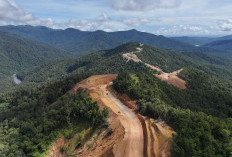 Jalan Trans Papua Segmen Memberamo-Elelim, Bakal Hubungkan 3 Provinsi dan 8 Kabupaten