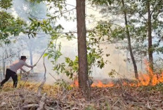 Polsek Kota Agung Berhasil Padamkan Kebakaran Lahan, Imbau Warga Tak Buang Puntung Rokok Sembarangan