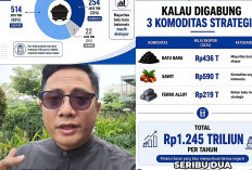 Listrik Padam Biasanya Alam yang Disalahkan, Tapi Kali Ini Batu Bara, Kok Bisa? 