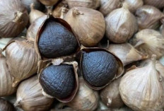 10 Kandungan Antioksidan Super Bawang Hitam, Ampuh Tangkal Radikal Bebas dan Penuaan Dini