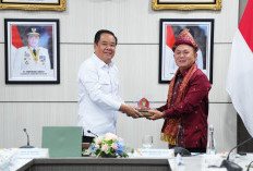 Wamen HAM RI Apresiasi Komitmen Pemprov Sumsel dalam Penegakan HAM