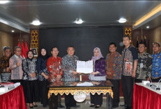 Ekspor Kopi IG Sumsel Masih Rendah, Kemenkum Sumsel dan KADIN Perkuat Sinergi