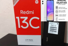 15 HP 1 Jutaan masih Terbaik di 2025: Cocok  untuk Kurir Paket: Baterai Super Awet Seharian
