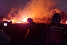 Kebakaran Lahan 15 Hektare di Sungai Rambutan Ogan Ilir, Petugas Berjibaku Padamkan Api dari Sore Hingga Malam