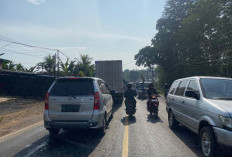 Mudik Lebih Awal, Ratusan Mobil Terjebak Macet di Jalintim Palembang-Betung H-15 Lebaran 2026 