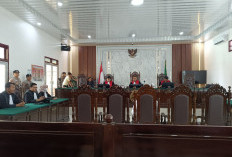 Kades Pematang Panggang Dihukum 10 Bulan Masa Percobaan 1 Tahun, Ini Kata PMD Kabupaten OKI 
