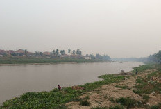 Musim Kemarau Sungai Komering Kayuagung dan Sumur Mengering, Warga Beli Air Bersih