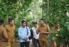 Bupati Ogan Ilir Apresiasi Petani Kopi dan Kakao di Payaraman, Berhasil Kembangkan Potensi Pertanian Baru