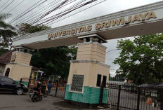 Guru Besar UGM Dukung Wacana Pemerintah Gratiskan Kuliah di PTS, ini Aturannya