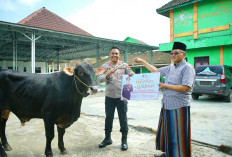 Hewan Kurban dari Kapolda Sumsel Diserahkan Kapolres OKI ke Pondok Pesantren di Lempuing