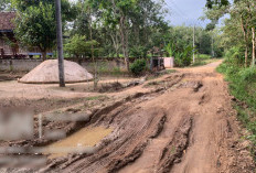 Hujan Deras Sebabkan Jalan di Cahya Maju - Tebing Suluh Rusak, TRC BPBD OKI ke Lokasi
