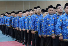 Ini Lima Keuntungan Menjadi PPPK Paruh Waktu bagi Tenaga Honorer