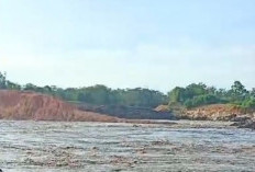 Tanggul Jebol, Tambang Batu Bara di Desa Paldas Banyuasin Seperti Danau