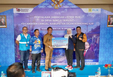 PLN Alirkan Listrik 24 Jam ke Dusun Terpencil di Cengal OKI