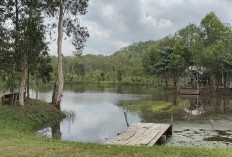  5 Tempat Ngecamp Paling Adem di Palembang: Suasana Tenang dan Gak Terlalu Jauh dari Kota
