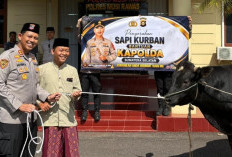 Bagikan Sapi Kurban ke Pesantren di Musi Rawas