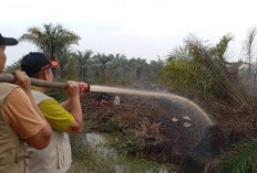 Diprediksi Kemarau Lebih Panjang, Terutama di Kabupaten Banyuasin