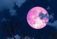 Zodiak Beruntung Malam Ini: Capricorn dan Sagitarius Paling Bersinar, Keberuntungan Karir hingga Keuangan