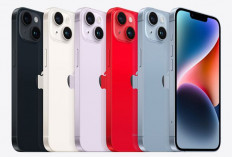 Harga iPhone 14 Series Agustus 2026, Mulai Rp8 Jutaan