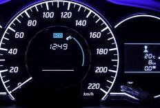 Cara Mengetahui Kilometer Mobil Bekas Asli atau Direset, Penting Saat Membeli Kendaraan Second