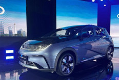 Fitur Kamera 360 Mobil Listrik BYD Dolphin: Visibilitas Maksimal & Meningkatkan Keamanan di Ruang Sempit