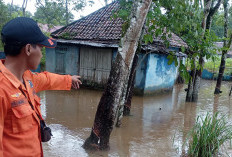 27 Rumah di Kawasan Ujan Mas Muara Enim Terendam Banjir, Warga di Bantaran Sungai Lematang Waspada