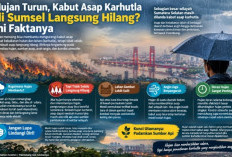 Hujan Turun, Kabut Asap Karhutla di Sumsel Langsung Hilang? Ini Faktanya