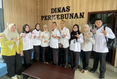 Kemenkum Sumsel Pantau Mutu Kopi Robusta Lahat sebagai Produk Indikasi Geografis