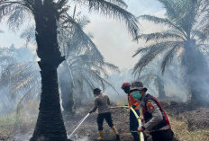 2 Hektare Lahan Gambut yang Terbakar di Desa Parit, Berhasil Dipadamkan Personel Gabungan Polres Ogan Ilir