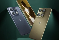 Review Motorola Reborn Signature 2026: Kembalinya Sang Raja dengan Fitur Melimpah