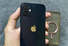 Mengapa iPhone 12 Jarang Dibahas, Berikut Kelebihan dan Kekurangannya?