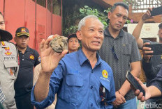 Geolog 2 Universitas Turun ke Teror Api Rumah Warga di Sleman, ini Penyebabnya